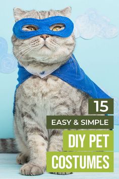 Cat wearing DIY Pet Costume Easy Pet Costumes, Diy Pet Costumes Dogs, Diy Cat Costume, Beanie Baby Costumes, Cat Halloween Costume Pet, Diy Pet Costumes, Pet Costumes For Dogs, Cat Costume Diy, Costumes For Dogs