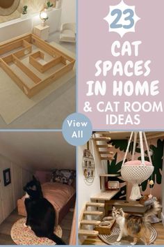 cat spaces in home and cat room ideas