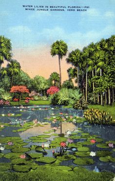 a painting of water lilies and palm trees