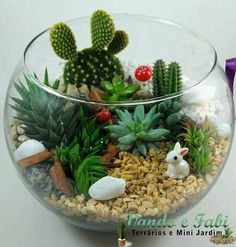 a glass bowl filled with plants and rocks