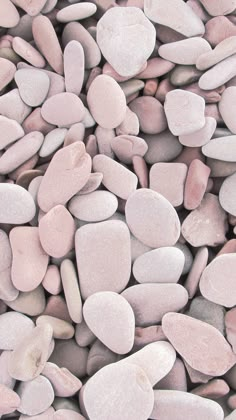 some pink and white rocks on the ground