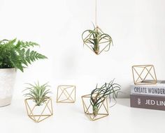 three air plants in gold geometric planters on a white table next to a book