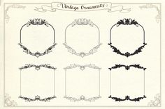 an old fashioned set of ornate frames with scrolls and flowers on the edges, all in black