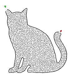 a cat that is sitting down with its head in the shape of a maze on it's back