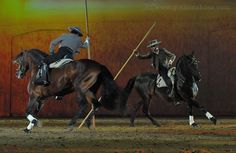 two men on horses in an arena with one holding a flag and the other riding