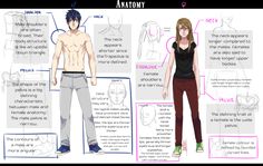 the anatomy of an anime character