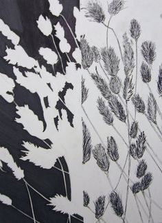 a drawing of some plants on a black and white background