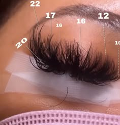 Choppy Lash Extensions Mapping, Mink Strip Lashes, Pretty Lashes Mapping, Wispy Mega Volume Lash Extensions Map, Mega Volume Lash Extensions Mapping, Lash Extensions Mapping Styles