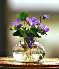 there is a vase with purple flowers in it and the caption says, hekho to ytpa