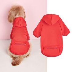 a dog wearing a red hoodie and jacket next to a pink wall with a white background