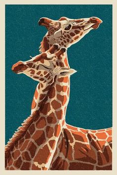 two giraffes standing next to each other with their heads touching in the air