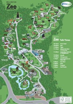 the zoo map with all its attractions