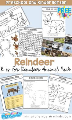 reindeer activities and printables for kids to help them learn how to read the animals