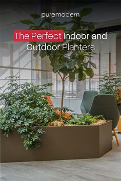 the perfect indoor and outdoor planters