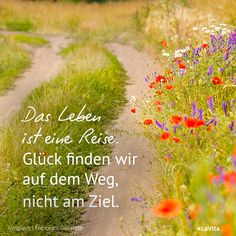 a dirt road surrounded by wildflowers with a quote written in german on the side