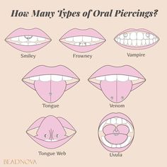 the different types of oral piercings are shown in this diagram, which shows how to use