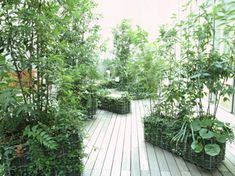 a wooden deck surrounded by lots of plants