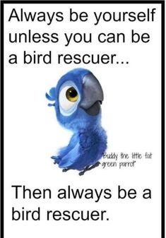 a blue bird with the caption, always be yourself unless you can be a bird rescue