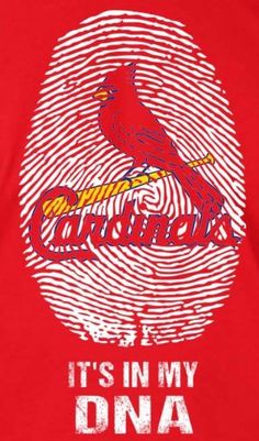 a red shirt with the word cardinals in it's center and a bird on top