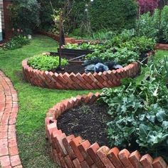 a garden with brick edgings and various plants in the center, including broccoli