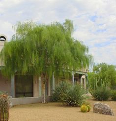 a house with trees in the front yard