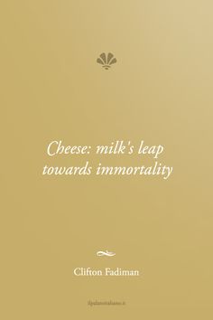 a book cover with the title cheese milk's leap towards innovation