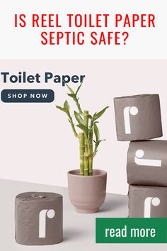 the toilet paper is next to a potted plant