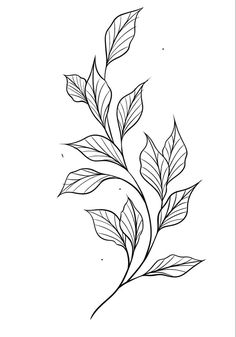 Tattoo Leaves Design, Vine Outline Tattoo, Plant Tattoo Outline, Red Leaves Tattoo, Small Tropical Tattoos For Women, Leaves Tattoo Drawing, Linework Tattoo Stencil, Vines Tattoo Stencil, Nature Filler Tattoo Ideas