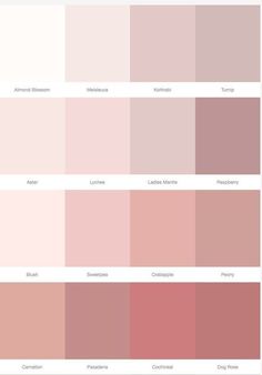 different shades of pinks and browns in the same color scheme, each with their own name