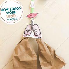 a brown paper bag with an image of a lungs on it and the words how lungs work