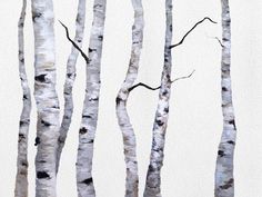 watercolor painting of white birch trees against a light gray background by artist and photographer susan grisell