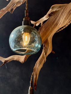 an old fashioned light bulb hanging from a tree branch in front of a dark background