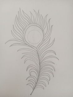 a pencil drawing of a feather on a sheet of paper with a circle in the middle