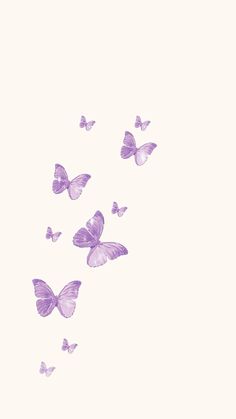 a group of purple butterflies flying in the sky