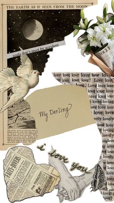 altered collage with newspaper, flowers and bird on it's back side that says i love you to the moon