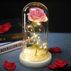 a pink rose is in a glass dome with fairy lights on the base and red petals scattered around it