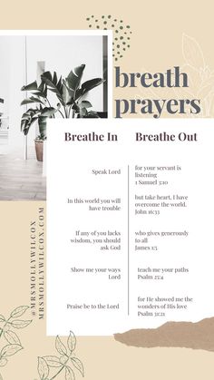 a brochure with an image of a plant and the words breath in breathe out