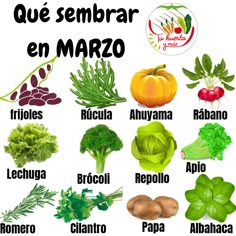 an image of spanish vegetables and their names