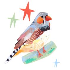 a colorful bird sitting on top of a piece of paper with stars in the background