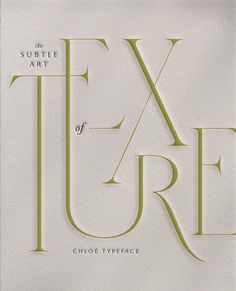 the subtle art of typogramic is featured in this book, titled the textures of texture