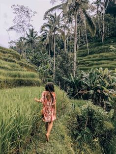 a woman in a red dress is walking through the rice fields with palm trees behind her