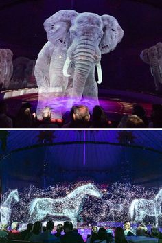 an elephant is projected in the air at night and on stage