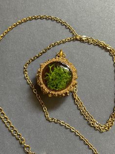 a gold chain with a small green plant in it on top of a gray surface