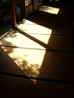 shadows cast on the floor in front of an open door with trees and bushes behind it