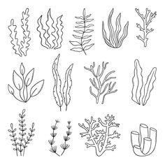 the different types of seaweed are shown in black and white on a white background