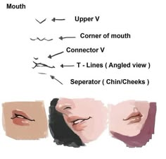 three different types of facial expressions are shown in this graphic above the words, upper v center of mouth connector v t lines angled view seperator chin / cheeks