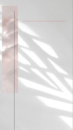 a white wall with the shadow of palm leaves on it and a pink rectangle