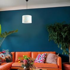 a living room with blue walls and orange couches in front of a large potted plant