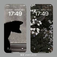 two iphone screens with the same image on them