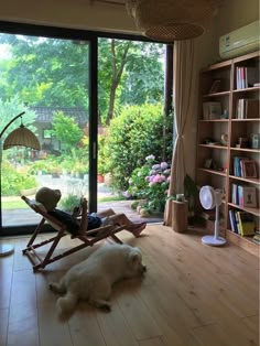 a white dog laying on top of a wooden floor next to a book shelf filled with books